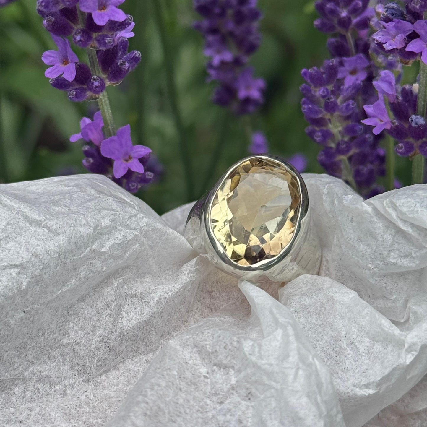 Solstice ring